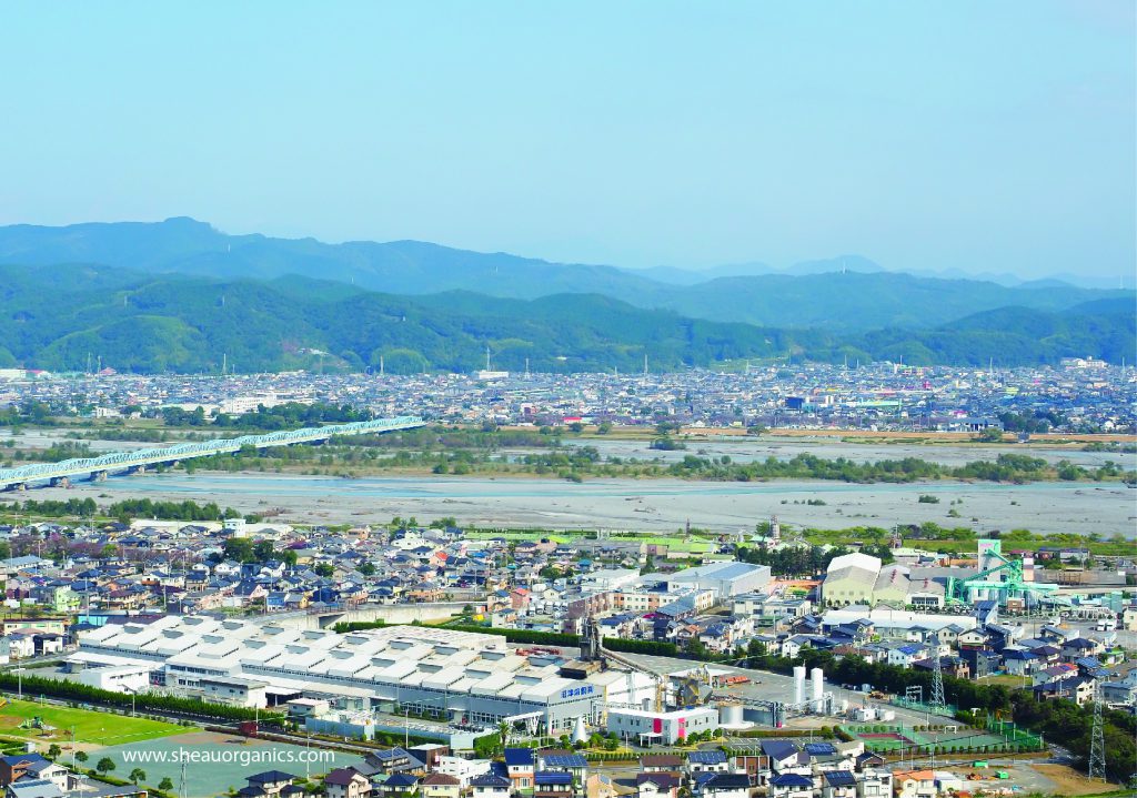 World Ocha Tea Festival 2019 x Shea U Yuka Tea Series Natural and Organics soap Shizuoka tea museum (355)-01-01-01