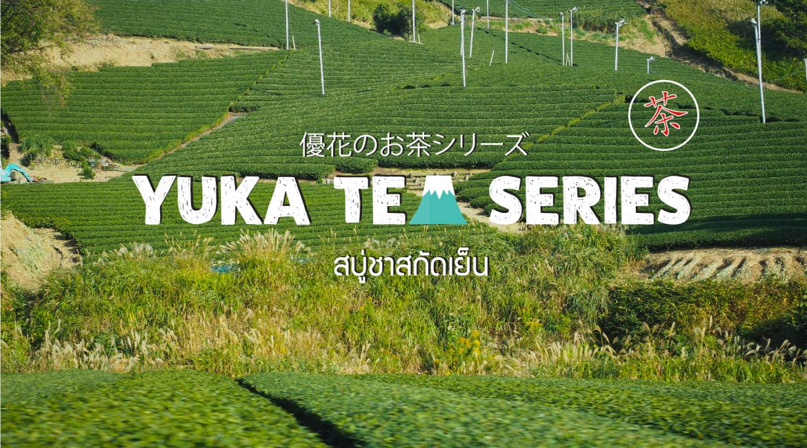 Umegashima Shizuoka Japan Onsen อุเมะกะชิมะ ออนเซ็น ชิซีโอกะ ญี่ปุ่น-website-01