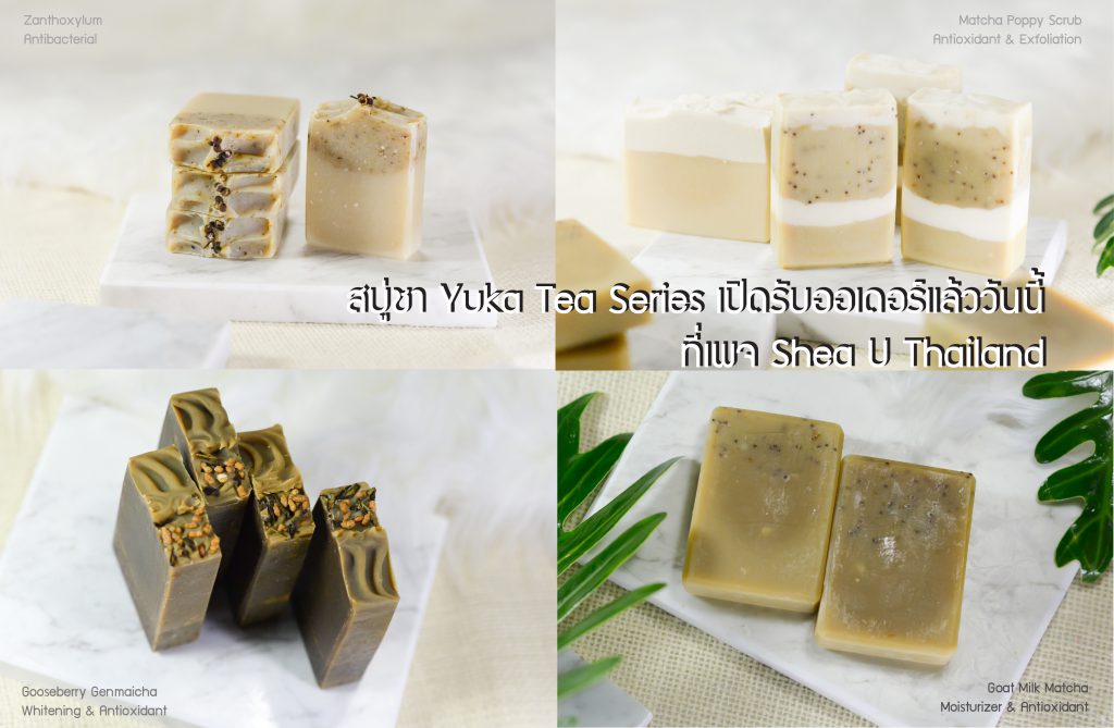 shea u soap Yuka Tea Series Genmaicha Gooseberry เชียยู เกนไมฉะ